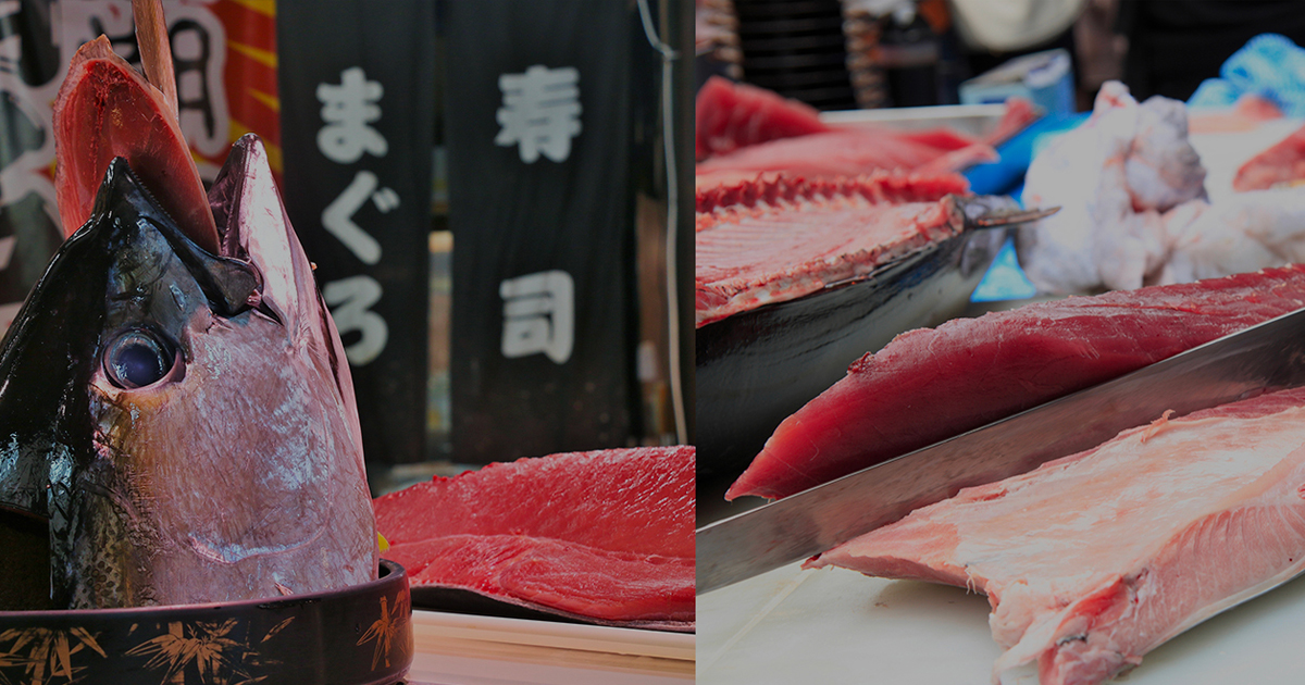 株式会社壱竜水産｜水産物の卸し・小売り販売：福岡を中心に九州全域に対応